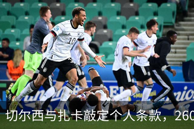 切尔西与扎卡敲定个人条款，2600万镑报价等待桑德兰放行