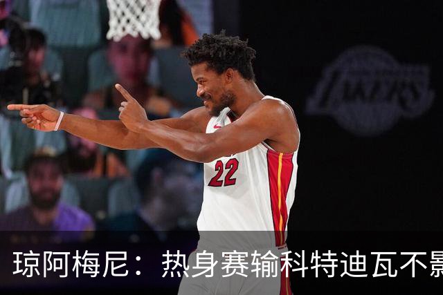 琼阿梅尼：热身赛输科特迪瓦不影响法国，可以说是一次小小的提醒
